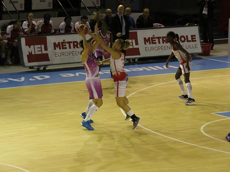 File:20160131 Villeneuve d'Ascq vs Angers 179.jpg