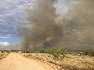 <span class="mw-page-title-main">Cumero Fire</span> 2018 wildfire in Arizona, United States