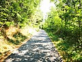 2020-08-09 12:14:49 File:2020-08-09 Radtour Umpfertalradweg zwischen Schweigern und Unterschüpf 03.jpg