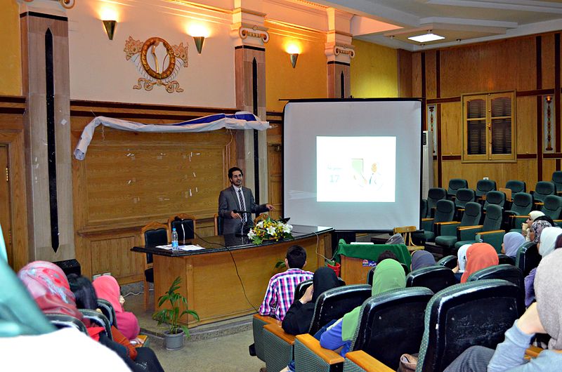 File:2nd Celebration Conference, Egypt-February 2013-06.JPG