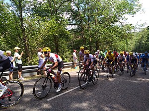 8. etapa Tour de France 2019 - col de la Croix-Paquet - Peloton 1.jpg