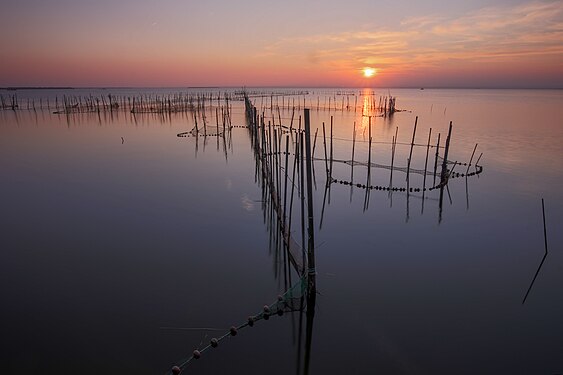 Albufera Natural Park. Photograph: Mikipons