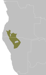 Miniatura per Boscos de mopane d'Angola