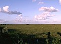 Everglades at Pa-Hay-Okee Overlook