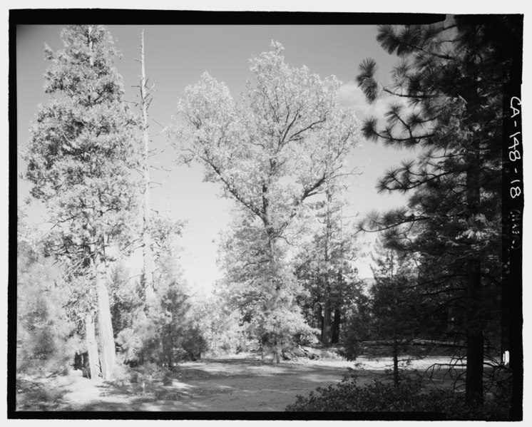 File:Abandoned parking area at Inspiration Point on Old Wawona Road. Looking east-northeast - Wawona Road, Between South Entrance and Yosemite Valley, Yosemite Village, Mariposa HAER CAL,22-WAWO,4-18.tif