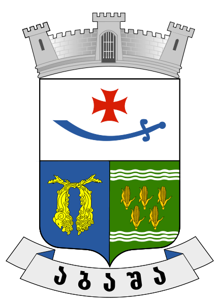 File:Abasha COA.svg