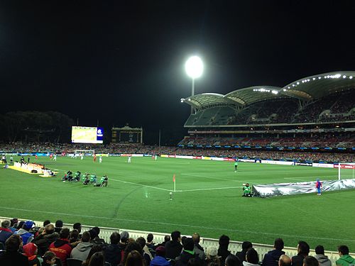 Adelaide United take on Spanish side Málaga CF in an exhibition match in July 2014