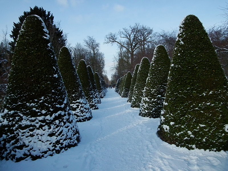 File:Allee im Schwetzinger Schlossgarten.JPG