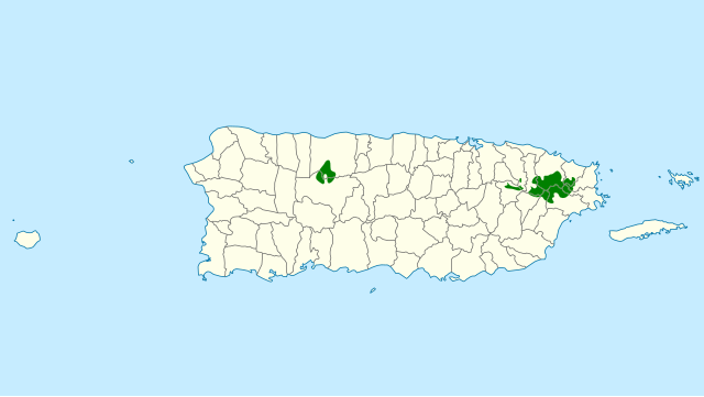 Puertoricaanse amazone