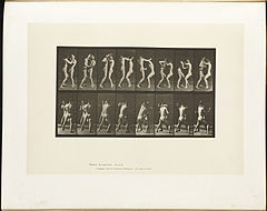 Animal locomotion. Plate 341 (Boston Public Library).jpg