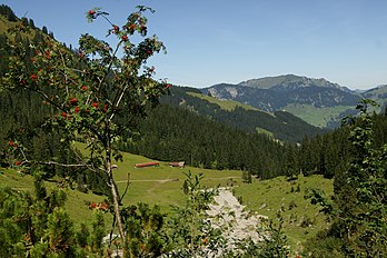 Dürrenbachtal, Annalperau Alpe, Vorarlberg, Austria