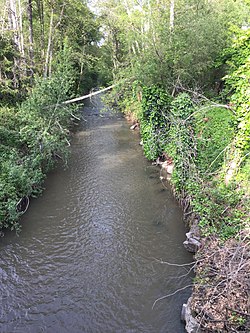 Aptos Creek 2017-04-16.jpg