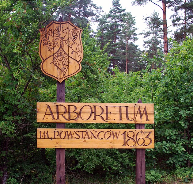 File:Arboretum w Kopnej Gorze tablica.jpg