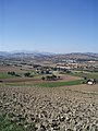 Area archeologica di Suasa - Vista dalla Croce del Termine 9