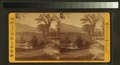 Artists' Brook, and Meadows, North Conway, N.H (NYPL b11708087-G91F028 086F).tiff