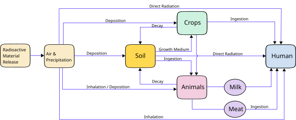 Airborne radioactive material can have an effect on humans via a range of routes. Atmospheric radiation to human-en.svg