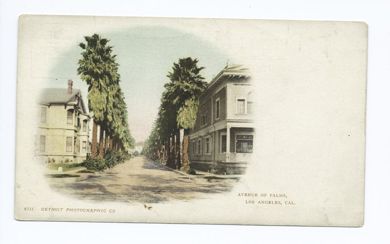 File:Avenue of Palms, Los Angels, Calif (NYPL b12647398-62079).tiff