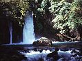 Miniatuur voor Bestand:Banias Waterfall.jpg