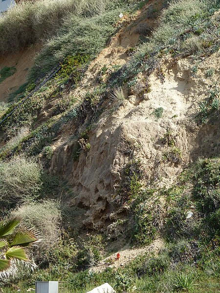 File:Beaches of Netanya P1080942.JPG