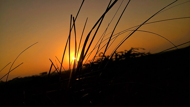 File:Beautiful Sunrise at Panoli Railway station.jpg