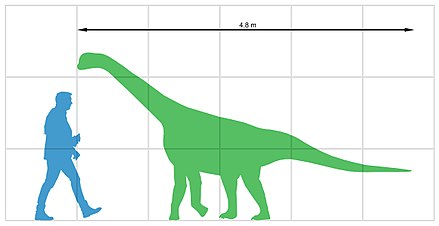 Jpg size. Size Comparison динозавры. Сравнение динозавров и современных животных. Сравнение динозавров с современными животными. Размеры динозавров по сравнению с современными животными.