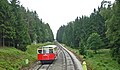 Gleis der Oberweißbacher Bergbahn in Lichtenhain/Bergbahn an der Ausweichstelle der Bergbahn