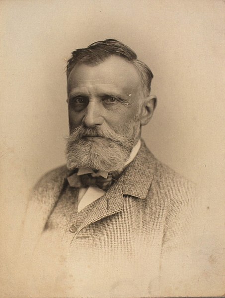 File:Bernhard Hertz (1834-1908).jpg