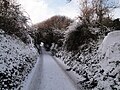 Crocker Lane, Bierley, Isle of Wight seen three days after heavy snowfall on the island on 5 January 2010.