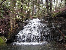 Big Branch Falls, Virgin Falls State Natural Area, an area of pocket wilderness Big Branch Falls.jpg