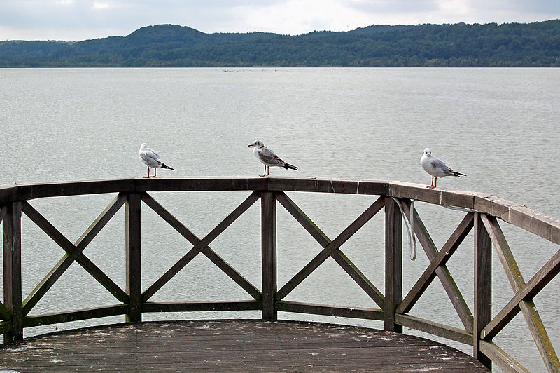 File:Binz (Rügen) - Schmachter See (6) (11836094156).jpg