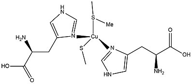 The structure of active site of type 1- blue copper protein. Blue Copper Protein- Type 1.jpg