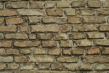 Briques en terre cuite claires de Saint-Omer sur une façade.