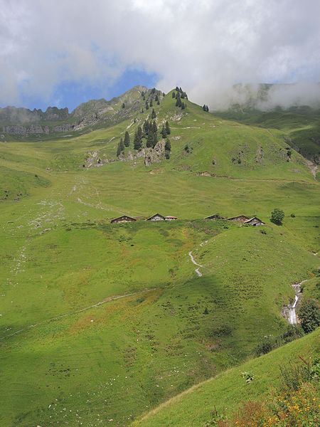 File:Brienz - Planalp - Rothorn - Brienz-Rothorn-Bahn (BRB) 2016-08-11 12-58-41.JPG