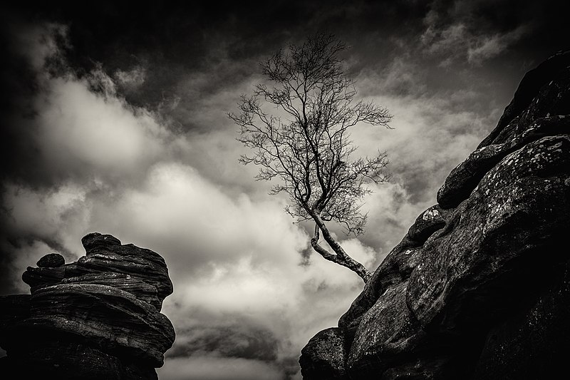 File:Brimham Rocks from Flickr J 19.jpg