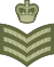 Exército Britânico OR-7.svg