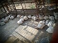 محل نگه‌داری مرغ‌ها در هند