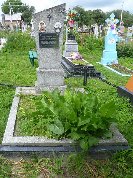 File:Budiatychi Ivanychivskyi Volynska-brotherly grave of soviet warriors-details-3.jpg