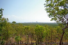 Utsikt från parken till centrum av Darwin stad