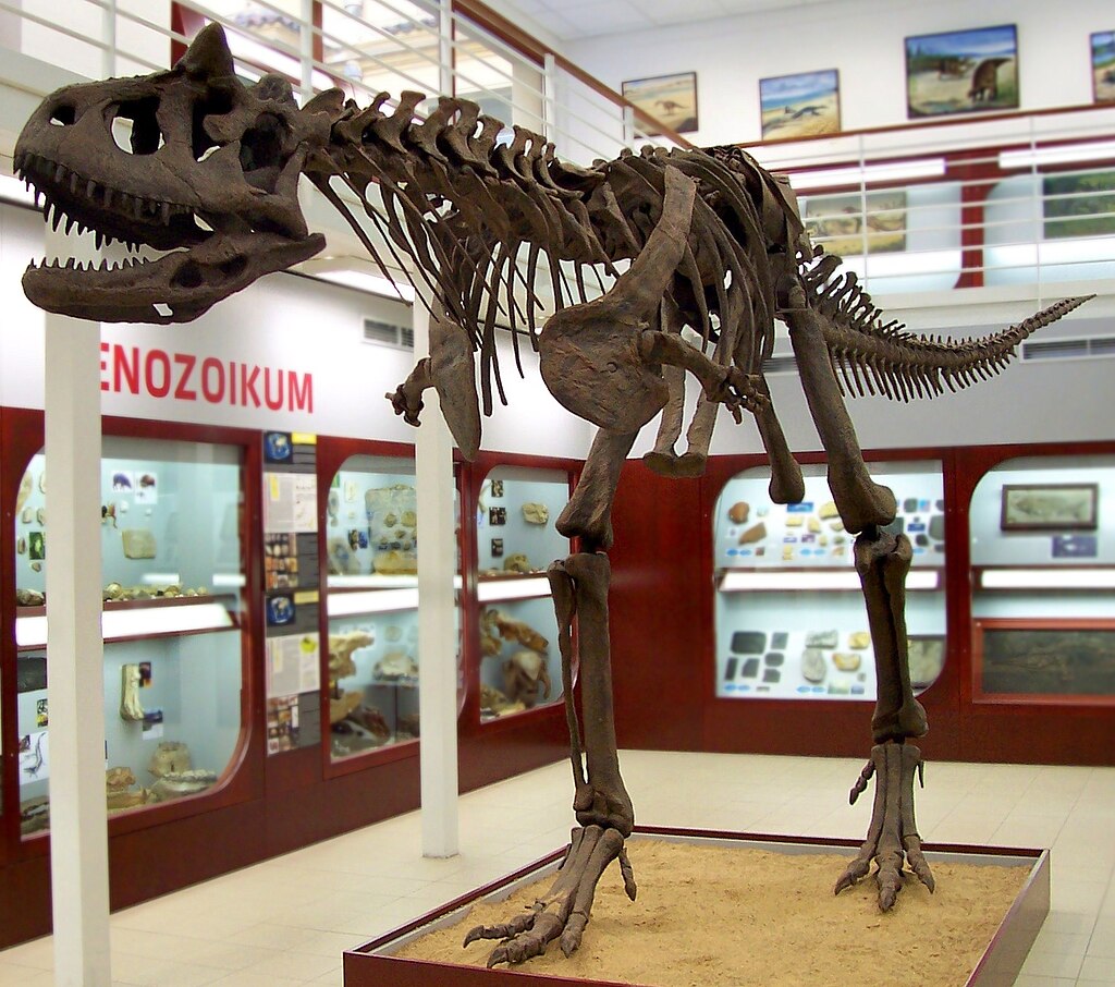 Carnotaurus, Chlupáč Museum, Prague-2