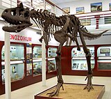 Skelettabguss von Carnotaurus im Chlupáč Museum in Prag