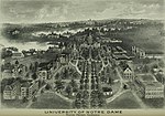 Universitetet 1903