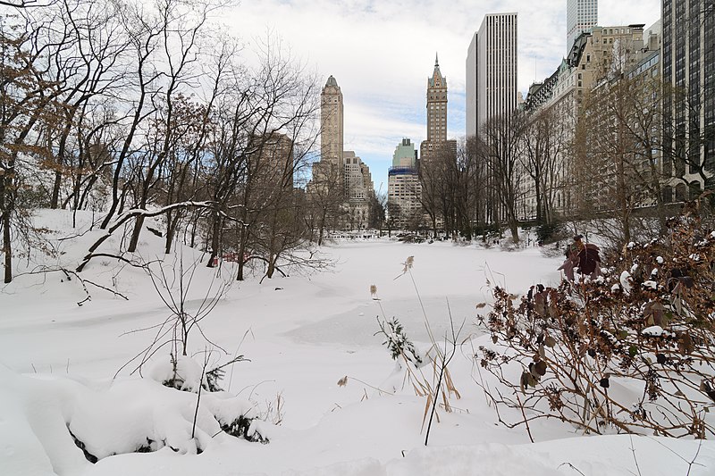 File:Central Park New York January 2016 004.jpg