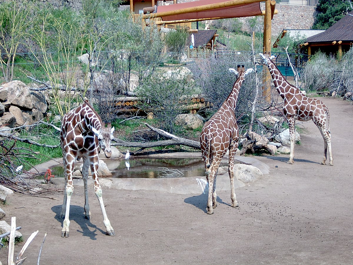 Cheyenne Mountain Zoo of Colorado Springs