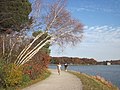 Chestnut Hill Reservoir IMG 0505.jpg