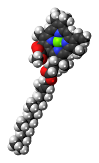 Chlorophyll-a-3D-spacefill.png