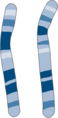 Chromosomes image - Karyotype