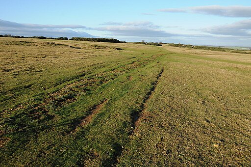 Cleeve Common - geograph.org.uk - 2739658