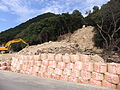 豪雨による真砂土の流出（2014年広島県）