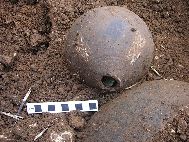 File:Coin hoard being excavated 2 (FindID 515068).jpg