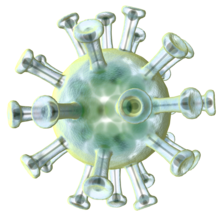 Corona virus Covid-19 Single Virion.png